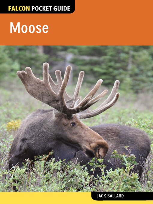 Kápumynd af Moose